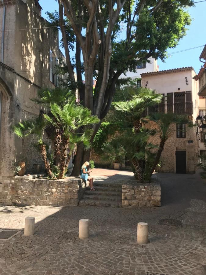 Antibes Tres Belle Situation ! Apartman Kültér fotó