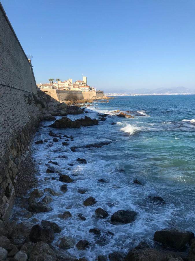 Antibes Tres Belle Situation ! Apartman Kültér fotó